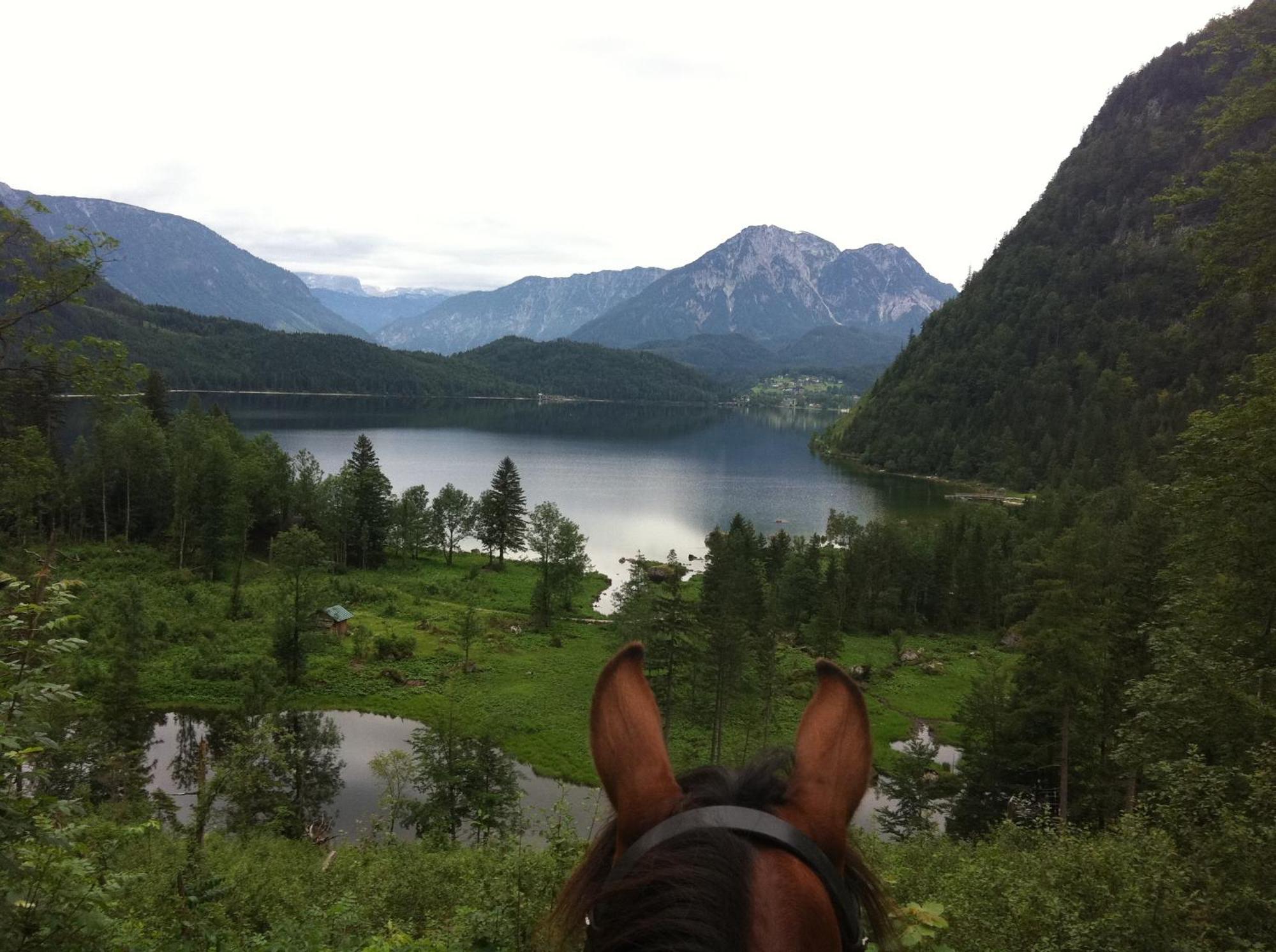Reitbauernhof Schartner Hotel Алтаусзее Екстериор снимка