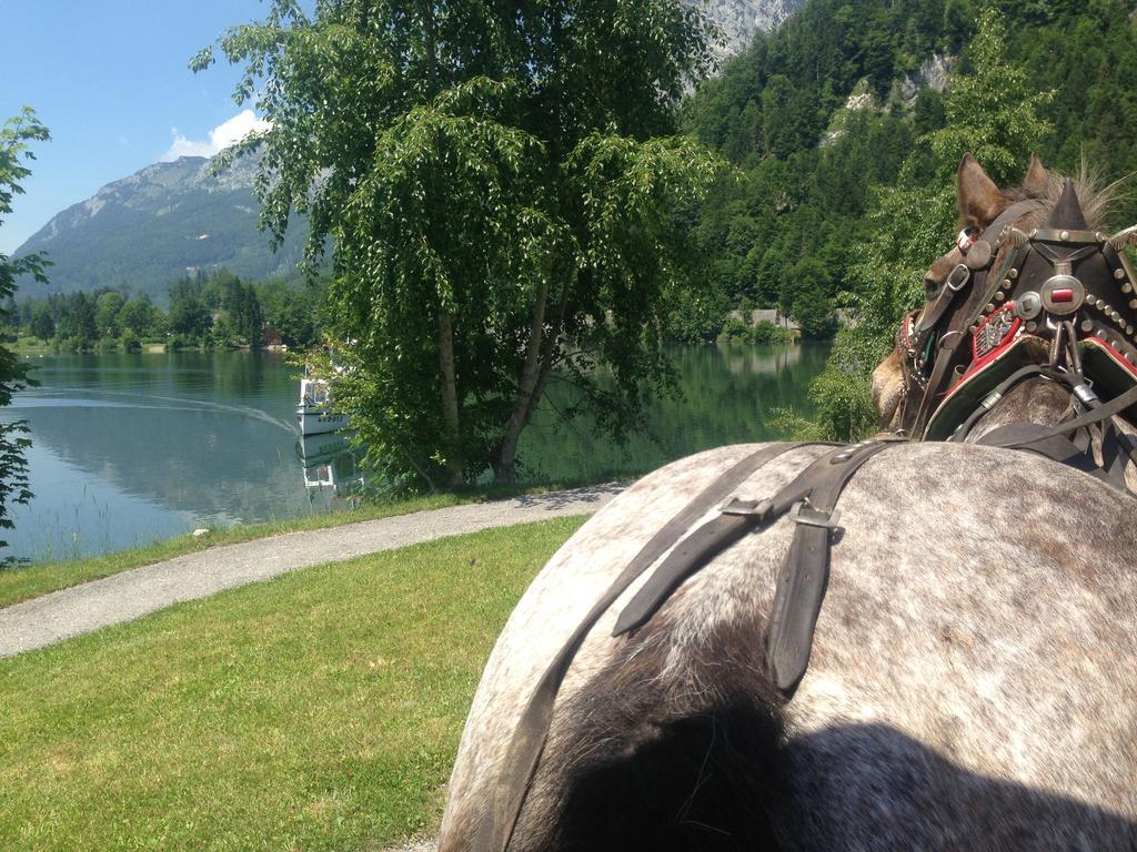 Reitbauernhof Schartner Hotel Алтаусзее Екстериор снимка